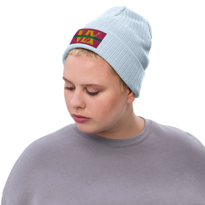 Ribbed knit beanie Voce Lindx